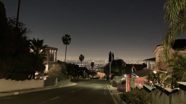 an empty street at night with palm trees on both sides and the city lights in the distance