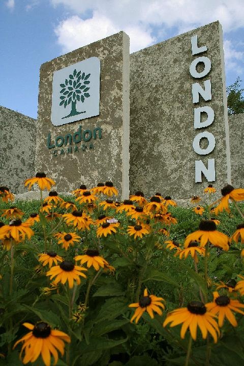 yellow flowers are in front of the london sign and building name on it's side