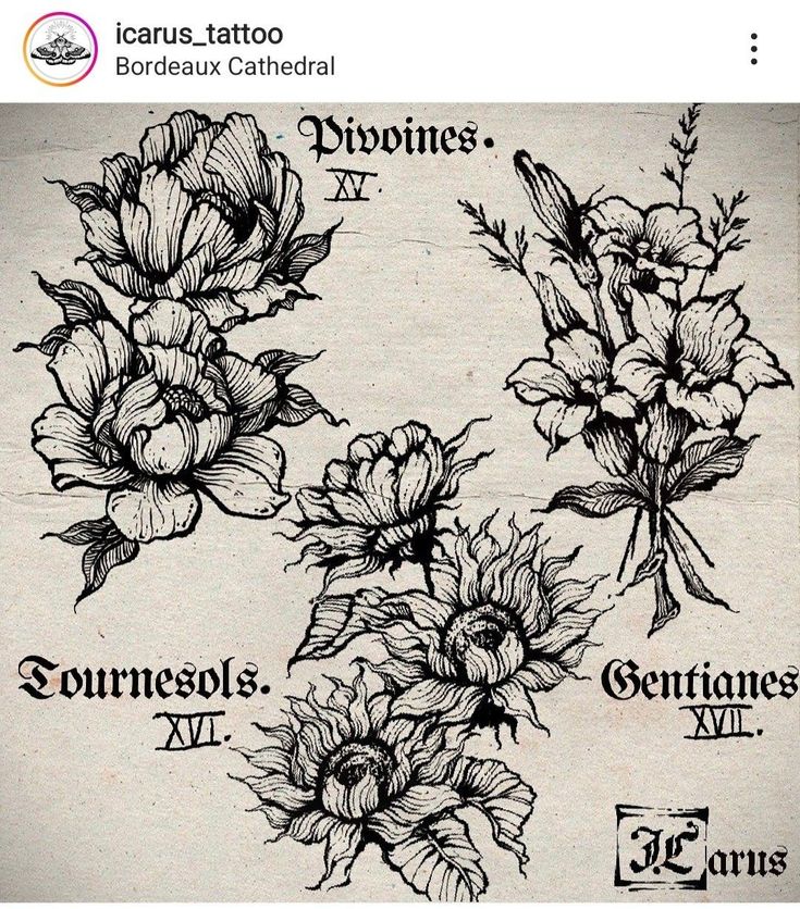 some flowers are drawn on top of a piece of paper with the words, tattoos and other