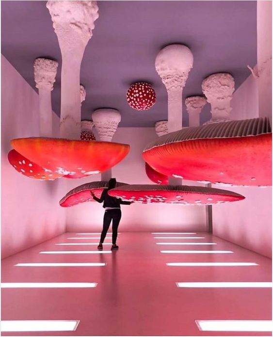 a person holding a surfboard in a room filled with red and white sculptures on the ceiling