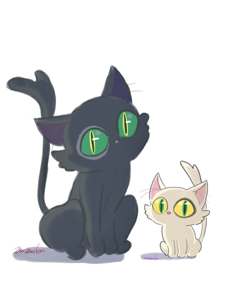 a black cat sitting next to a white cat with green eyes on it's face