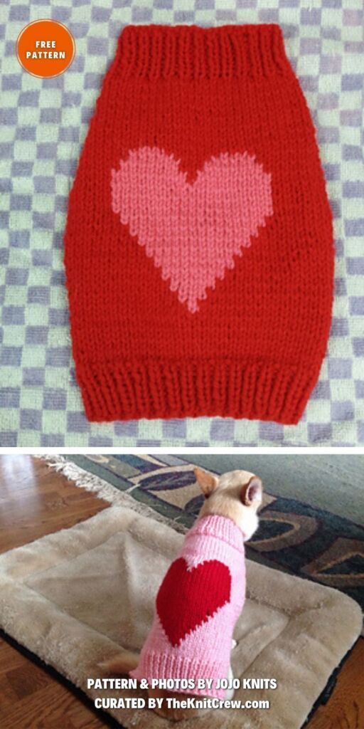 a dog wearing a sweater with a heart on it