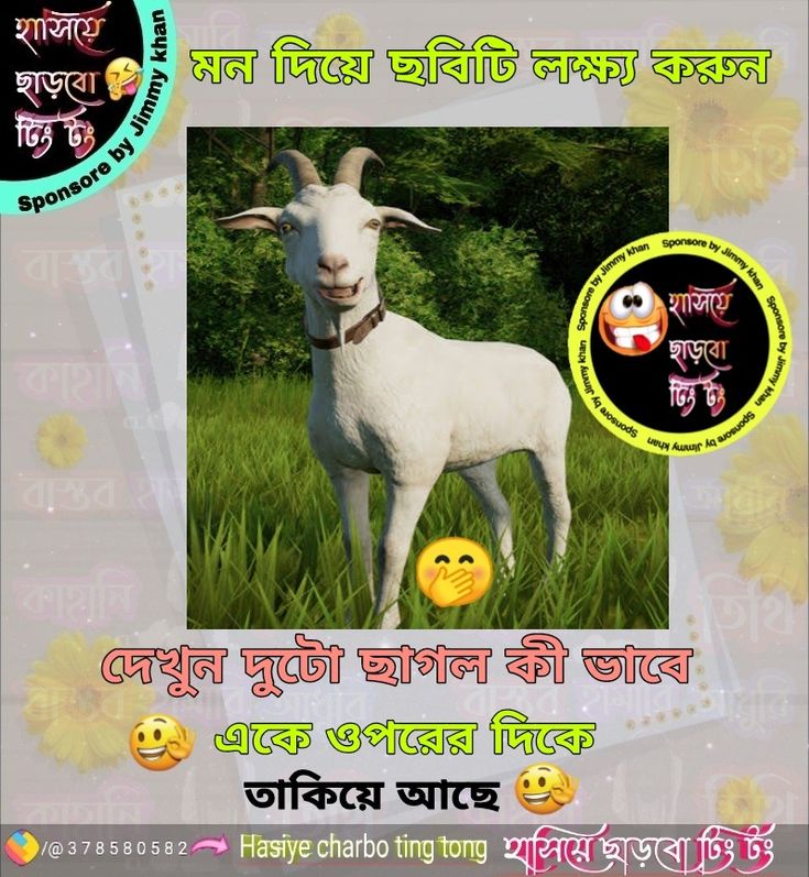 an advertisement with a goat in the middle of it's image and text on top