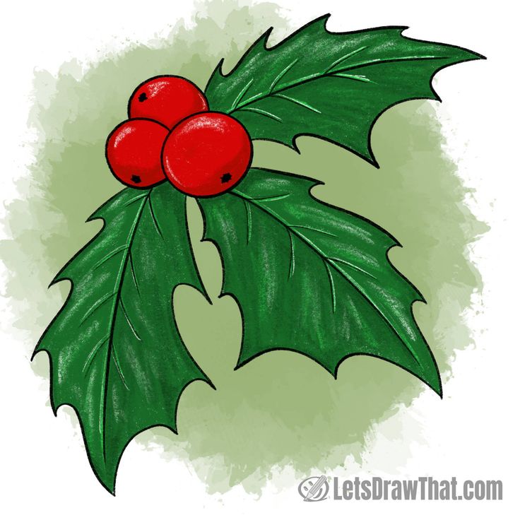 Colour pencil drawing of holly leaves and berries Drawings Of Holly And Berries, Christmas Holly Painting Acrylic, Holly And Berries Drawing, Christmas Holly Painting, Christmas Easy Drawings Ideas, How To Paint Holly Leaves, Holly Leaves Drawing, Holly Drawing Simple, Holly Berry Drawing