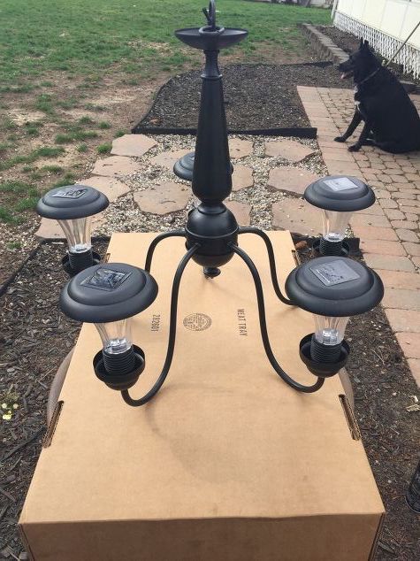 a black dog sitting next to a box with four lights on it's side