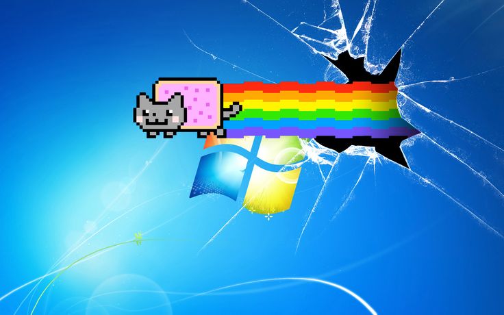 an image of a broken window with a cat on it and a rainbow flag in the background