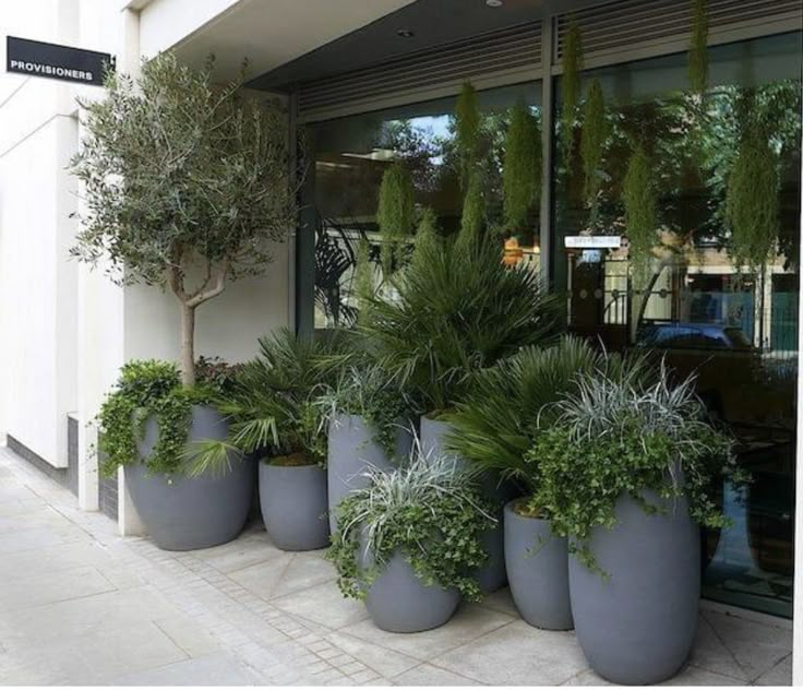 there are many potted plants in front of the building