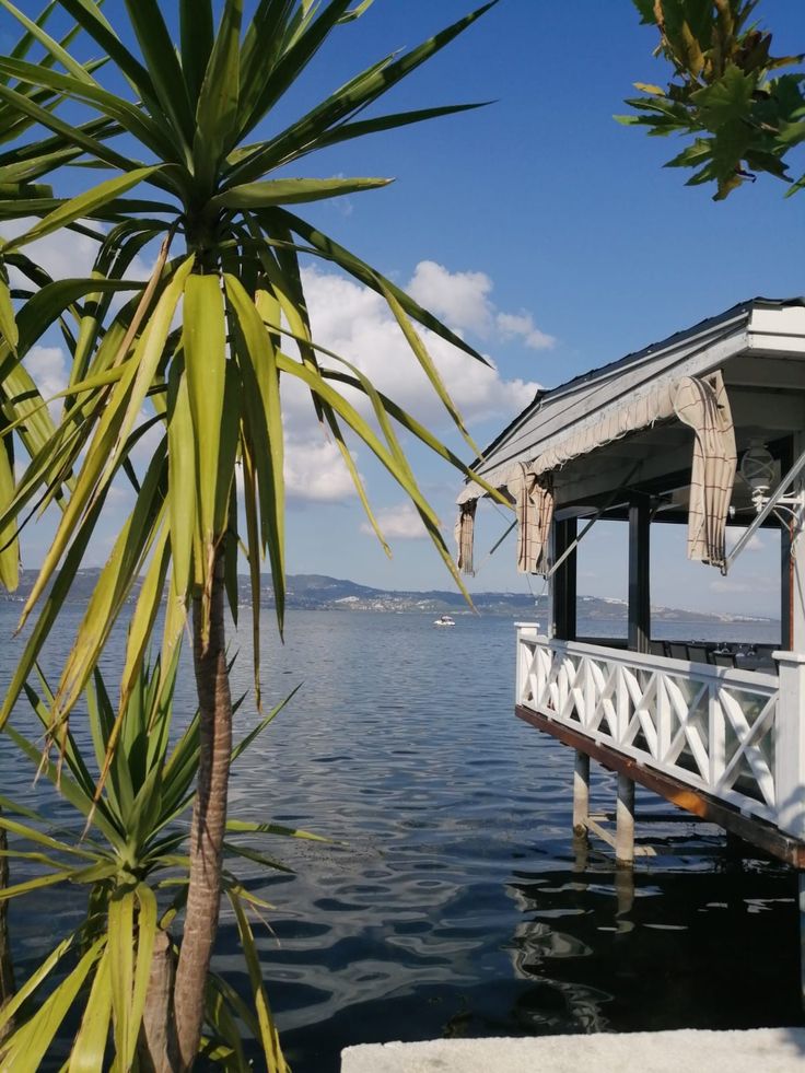 there is a boat dock on the water with palm trees in front of it and blue sky above