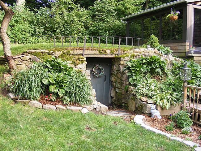 an outdoor garden area with plants and trees