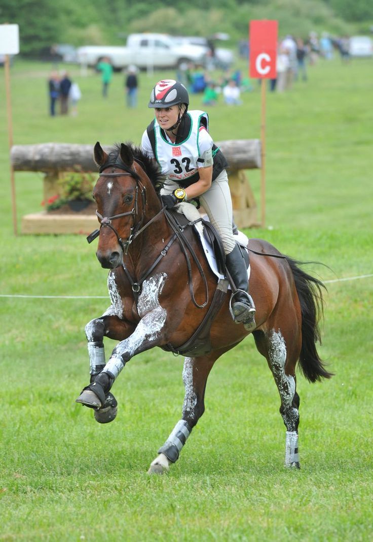 a person riding on the back of a brown horse