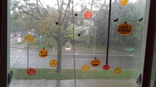 the window is decorated with pumpkins and bats