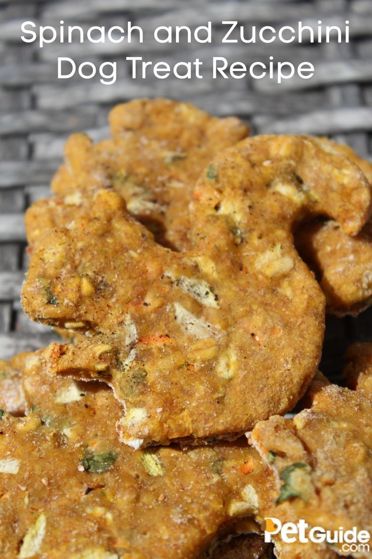 dog treat recipe made with spinach and zucchini for dogs to eat on the grill