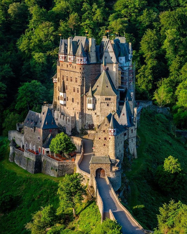 an aerial view of a castle in the woods