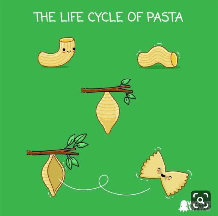 the life cycle of pasta is shown in three stages, including one being sliced into slices and