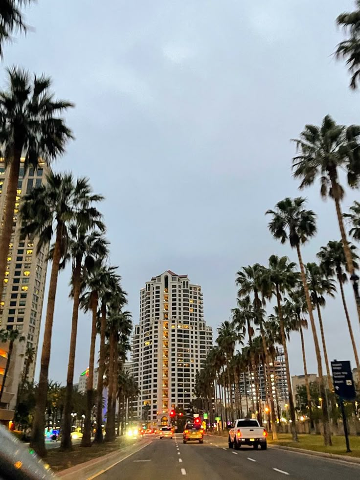 palm trees line the street as cars drive by in front of high rise apartment buildings