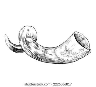 an ink drawing of a banana on a white background