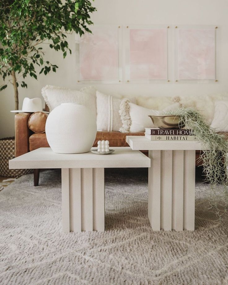 a living room with a couch, coffee table and potted plant on the side