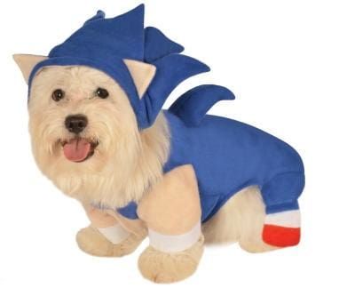 Sonic the Hedgehog Dog Costume Dog Costumes Halloween Large, Sonic The Hedgehog Costume, Hedgehog Costume, Sonic Costume, Dibujos Toy Story, Sonic Birthday Parties, Hedgehog Pet, Sonic Birthday, Pet Halloween Costumes