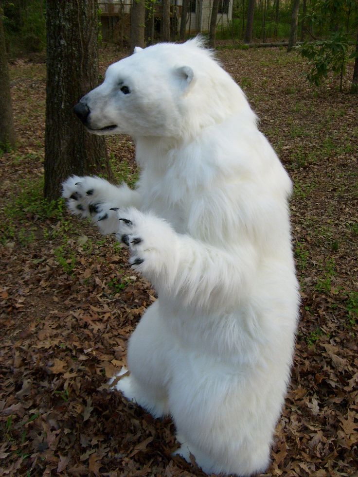 a large white polar bear standing on its hind legs in the woods with it's paws up