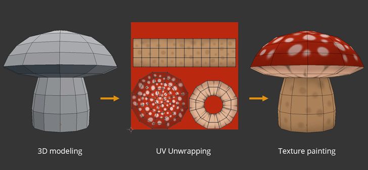 three different types of mushrooms are shown in this graphic above it is an image of the same type of mushroom