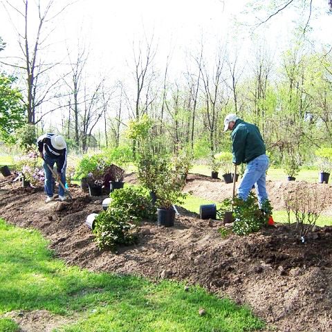 two men are working in the garden with trees and mulchs on the ground