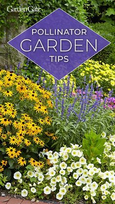 a garden filled with lots of flowers next to a blue sign that says pollinator garden tips