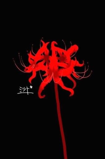 a red flower on a black background with the words written in white and an image of a