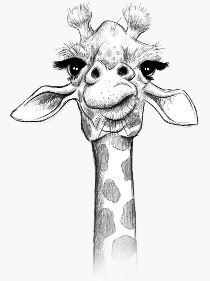 a black and white drawing of a giraffe's head with big eyes