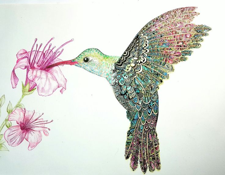 a drawing of a hummingbird with pink flowers