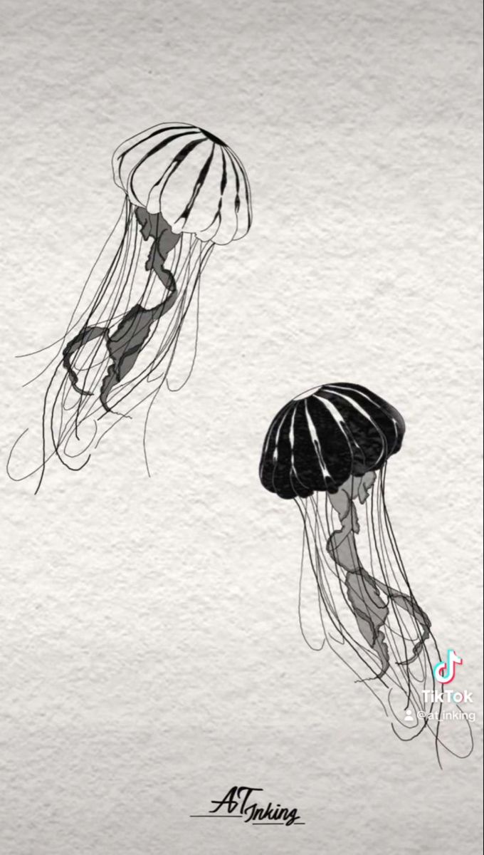 Matching jellyfish black and white ying and yang tattoo designs Jellyfish Tattoo Black And White, Jellyfish Black And White, Black And White Jellyfish, White Jellyfish, Jellyfish Tattoo, Tattoo Black, Tattoos Ideas, Art Class, Black Tattoos