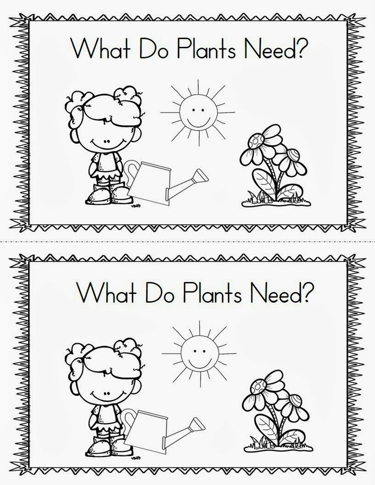 two worksheets with plants and what do plants need?