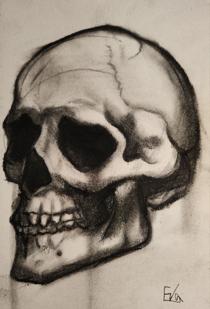 a black and white drawing of a skull