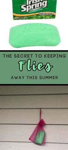 Irish Spring Soap For Flies, How To Keep Flies Out Of Your House, Diy Fly Trap Outdoor, Fly Repellant Diy Outdoors, Flies Repellent Outdoor, How To Repel Flies, Fly Repellant Diy, Fly Deterrent, Repel Flies