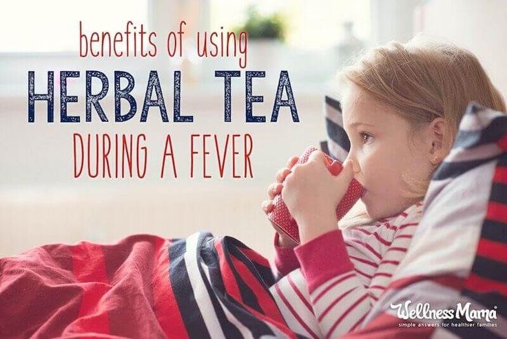 6 Benefits of Using Herbal Tea During a Fever Nourishing Drinks, Herbal Preparations, Natural Remedies For Fever, Natural Headache Relief, Healthy Woman, Wellness Mama, Herbal Teas Recipes, Herbal Recipes, Natural Cold Remedies