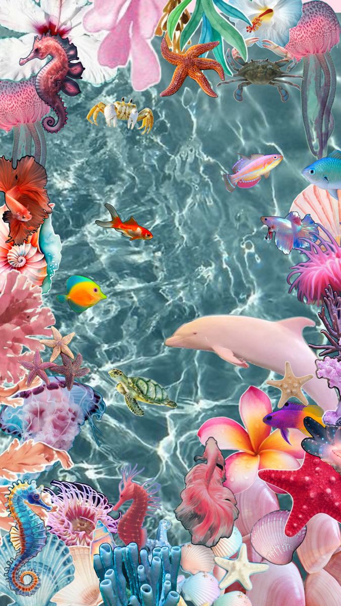 an underwater scene with corals, sea animals and other marine life in the water