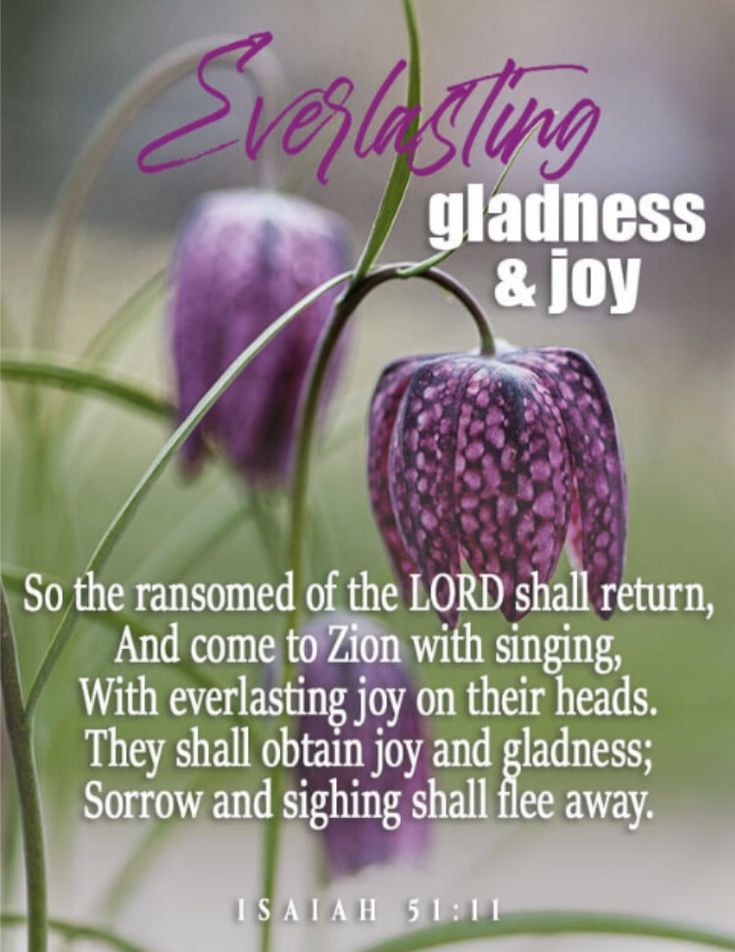 a purple flower with a bible verse on the front and back cover that says, severizing gladness & joy