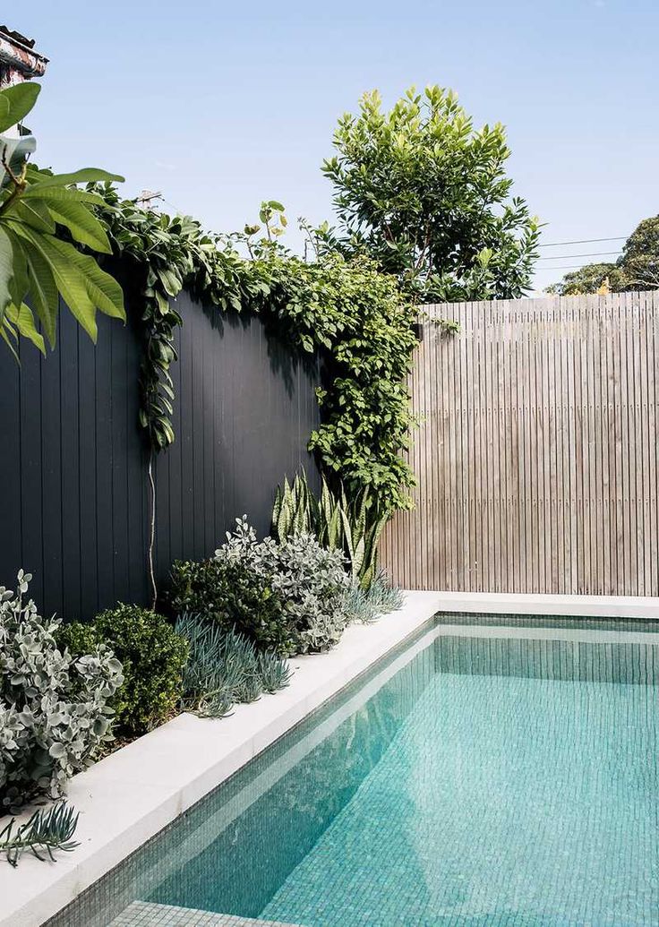 an outdoor swimming pool surrounded by greenery next to a fenced in backyard area