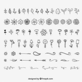 the different types of flowers are shown in black and white, as well as an image of