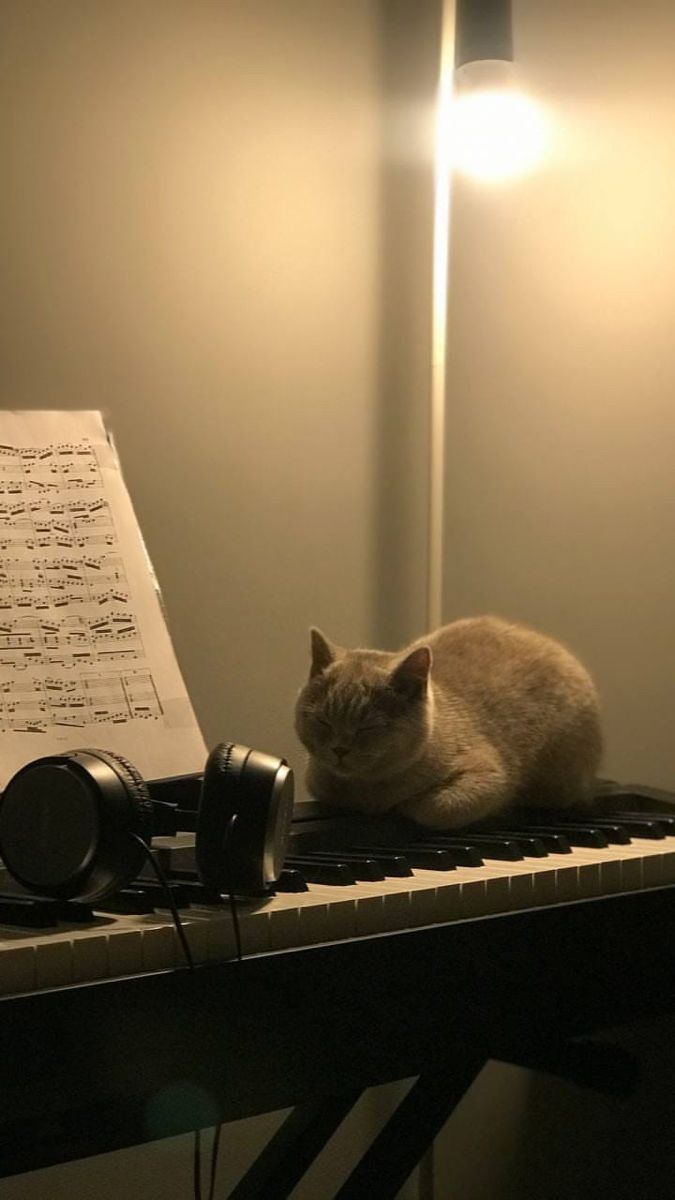 a cat laying on top of a keyboard next to a lamp and sheet music paper