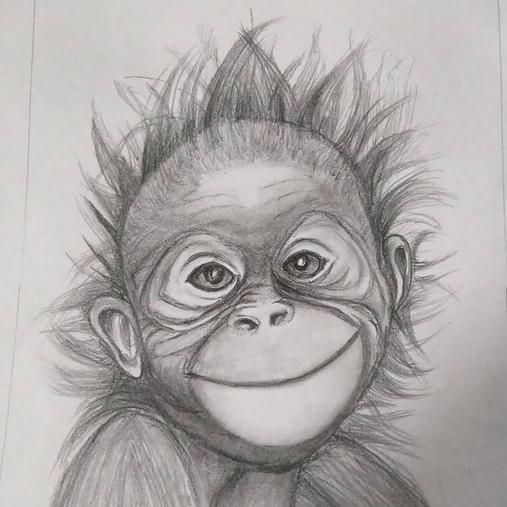 a drawing of a monkey with hair on it's head and eyes, looking straight ahead