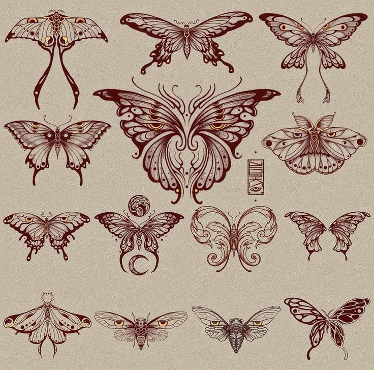 an assortment of different types of butterflies on a beige background with red ink and gold accents