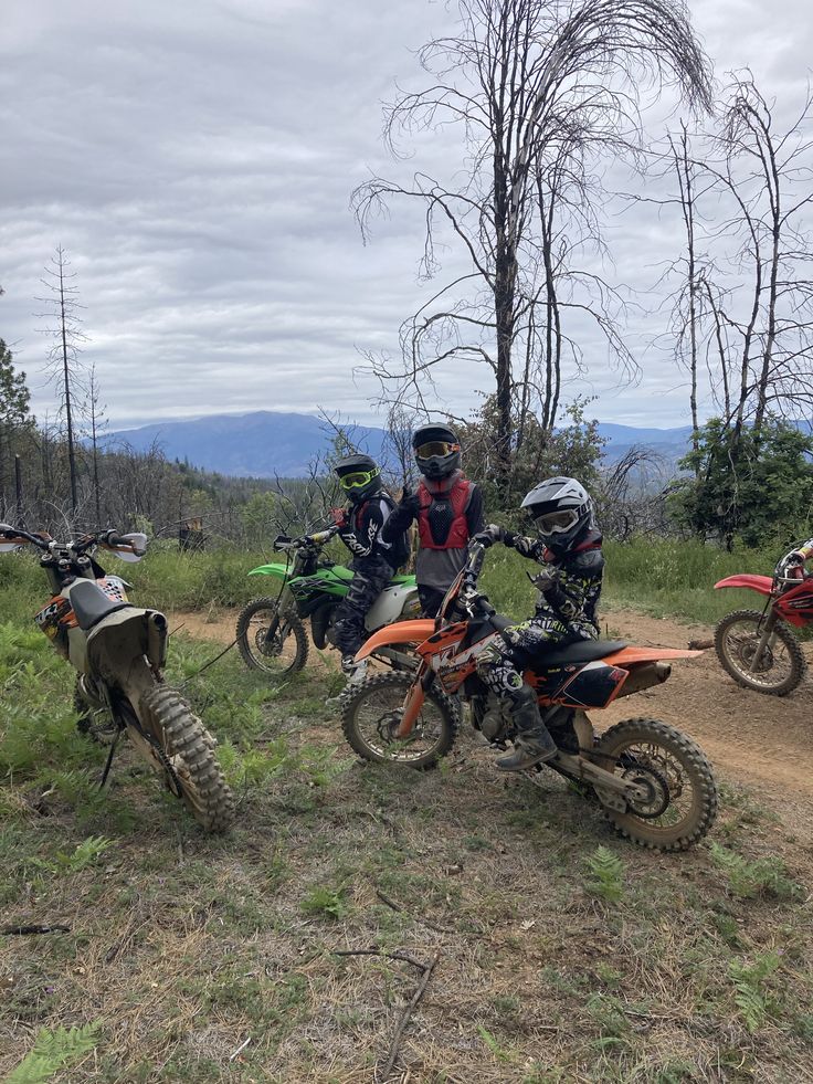 three people on dirt bikes in the woods