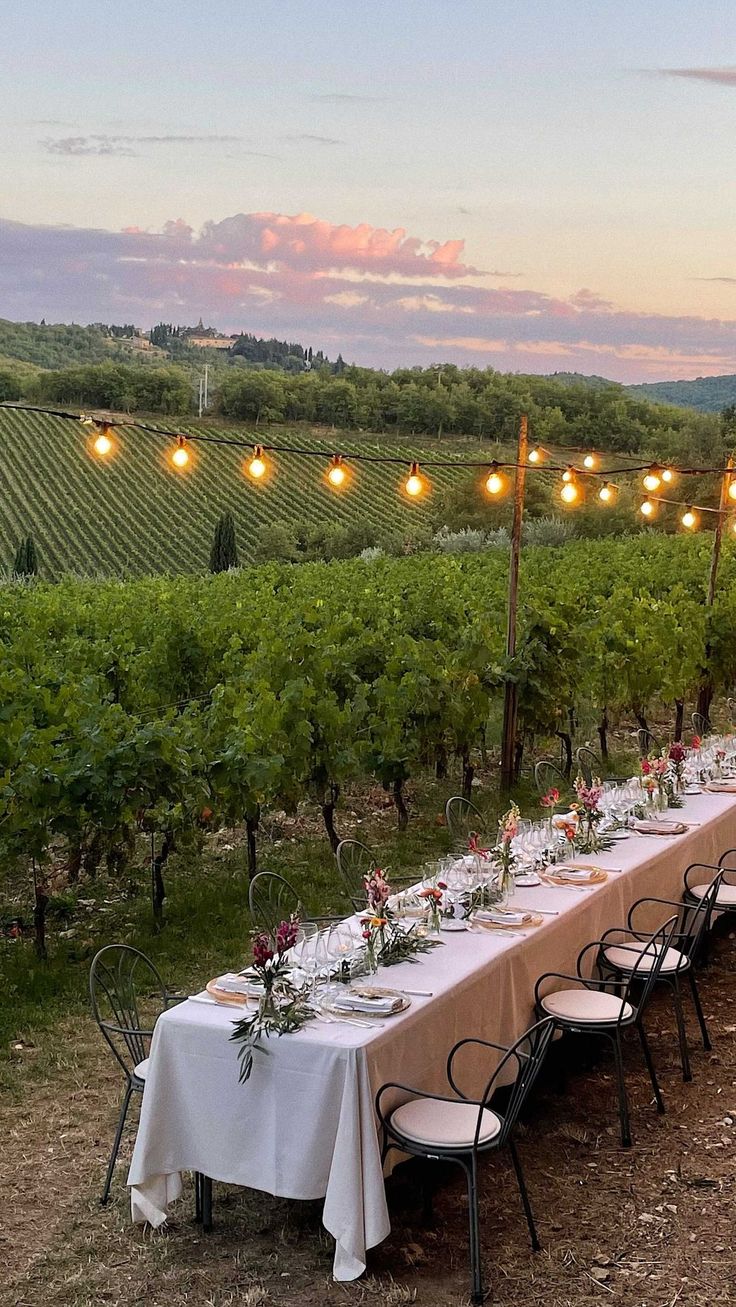 a long table is set up in the middle of a vineyard with lights strung above it