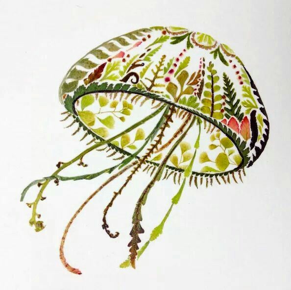 a drawing of a jellyfish with green and red algae on it's back