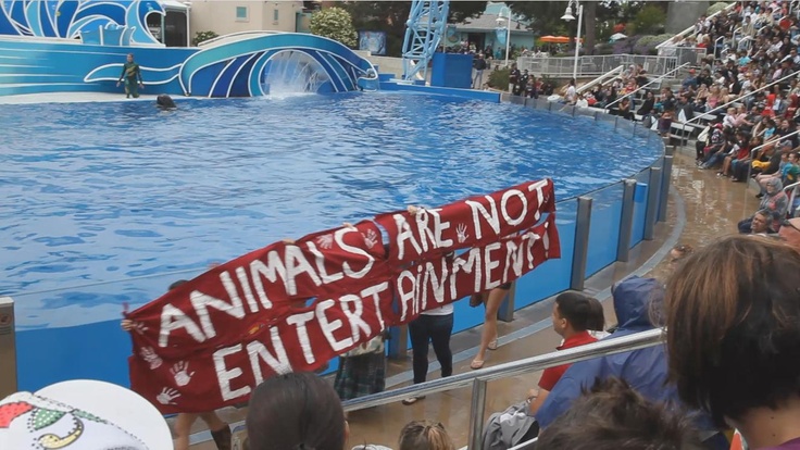 people are standing in front of a pool with an animal sign that says animals are not enteptiment