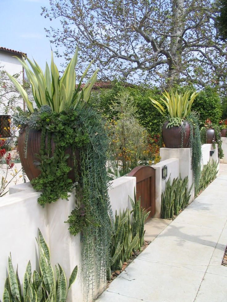 some very pretty plants on the side of a building