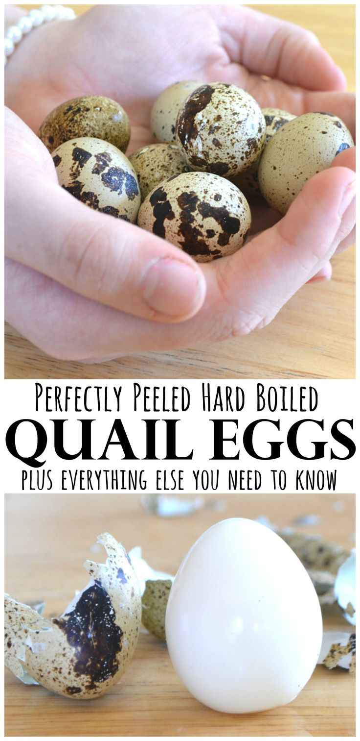 hands holding quail eggs with text overlay that reads perfectly peeled hard boiled quail eggs plus everything else you need to know