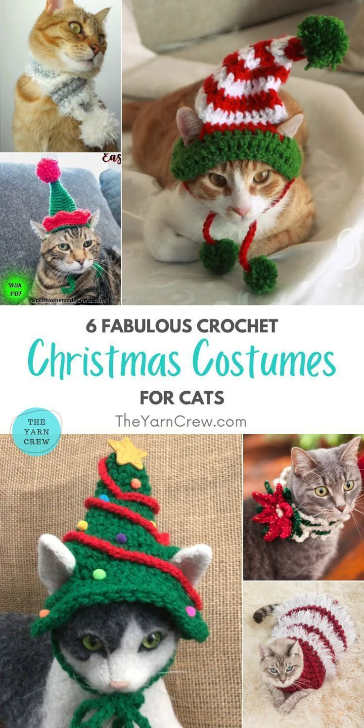 crochet christmas costumes for cats and kittens with text overlay that reads 6 fabulous crochet christmas costumes for cats