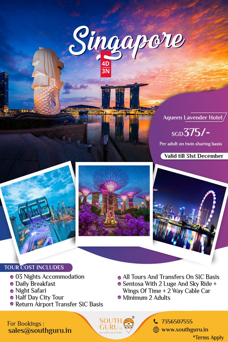 the singapore flyer for an upcoming event with photos and text on it, including images of landmarks