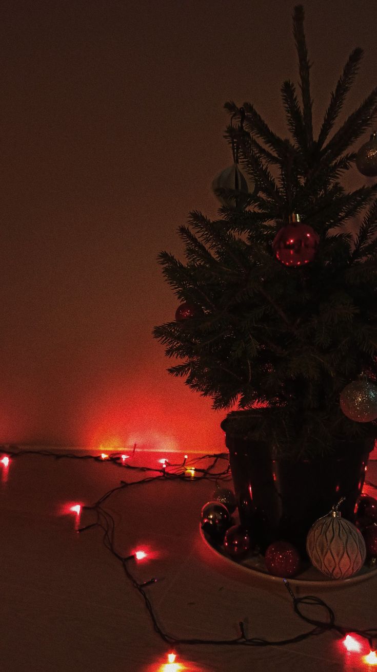 a potted christmas tree with red lights on the ground and small ornaments around it